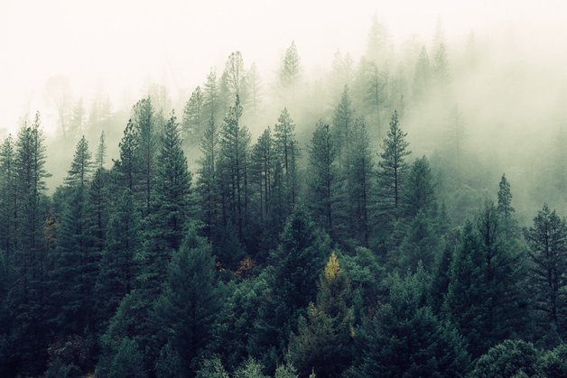 エシカル消費という選択について - 【公式サイト】SNOW FOX SKINCARE オンラインショップ