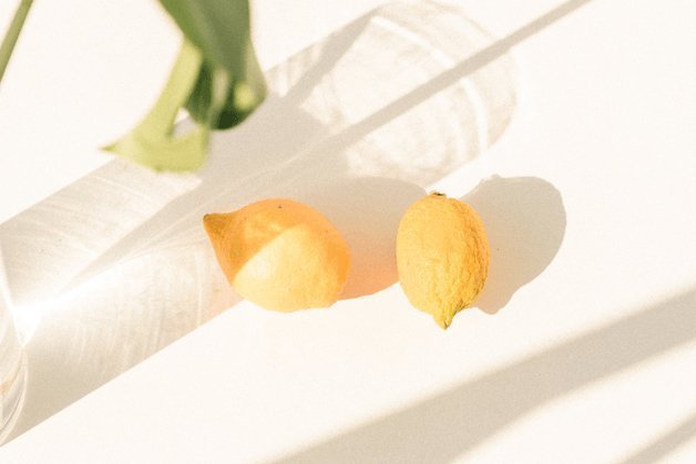 エシカルとヴィーガンのジレンマ - 【公式サイト】SNOW FOX SKINCARE オンラインショップ