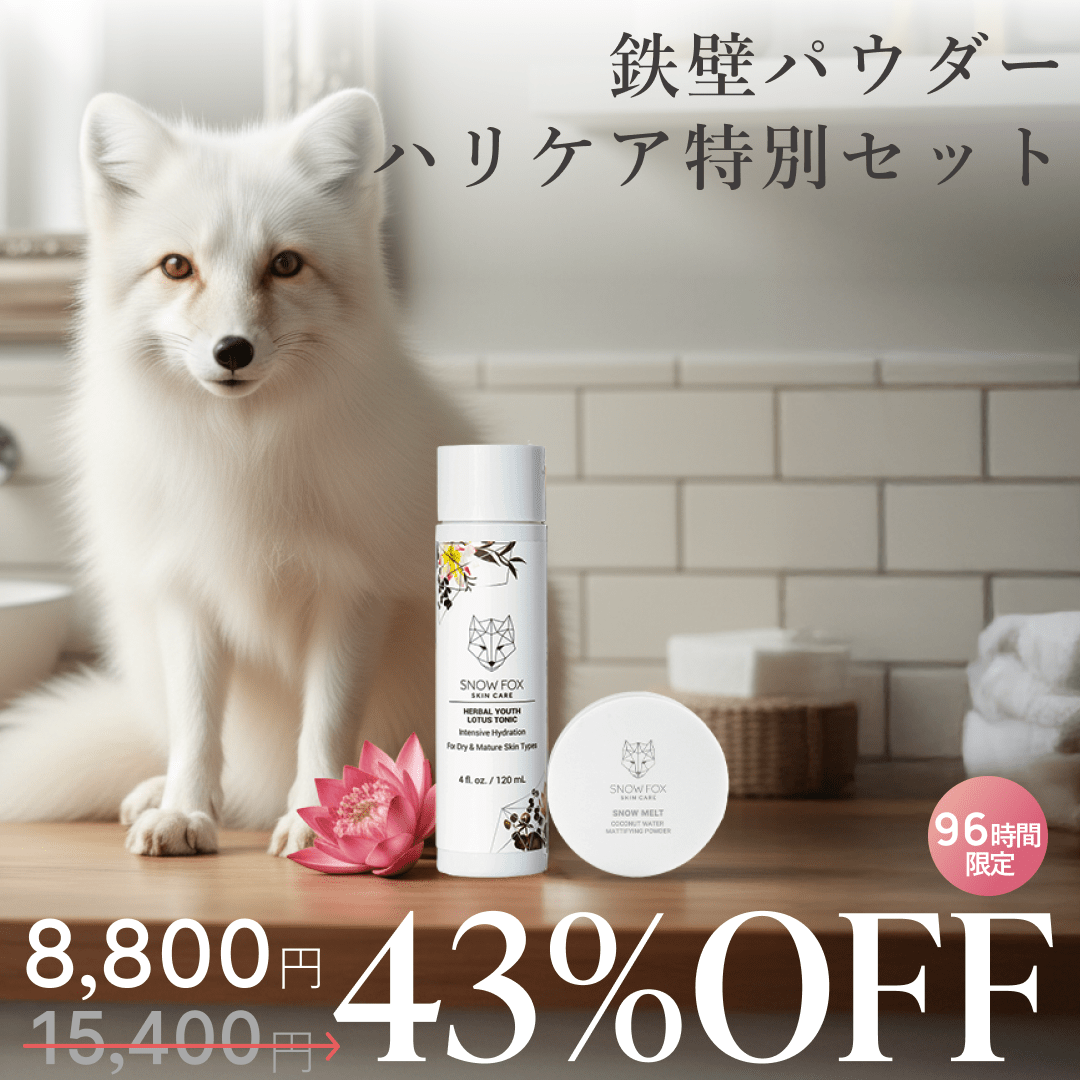 96時間限定 鉄壁パウダースキンケア特別セット_SFTPWELSETH