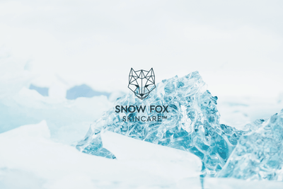 SNOW FOXのロゴの由来とフィービーのブランドへの想い