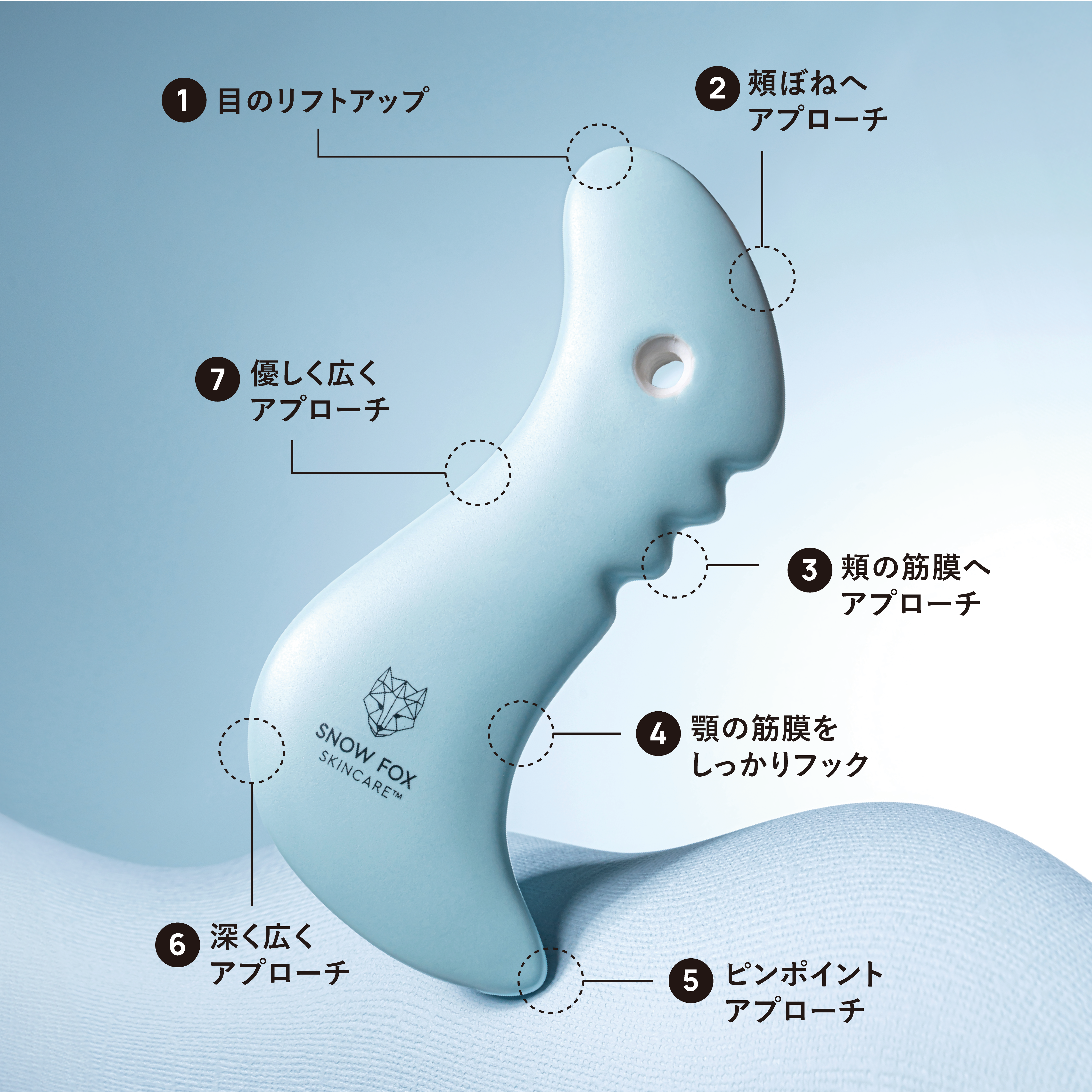 【FOX SALE】プレミアム FOX フェイス & ボディ 磁器 カッサ(ブルー)