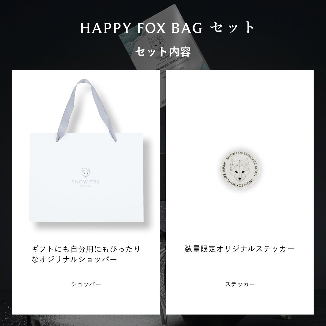 【1月7日発送予定】HAPPY FOX BAG Black Edition_SFHBBESET