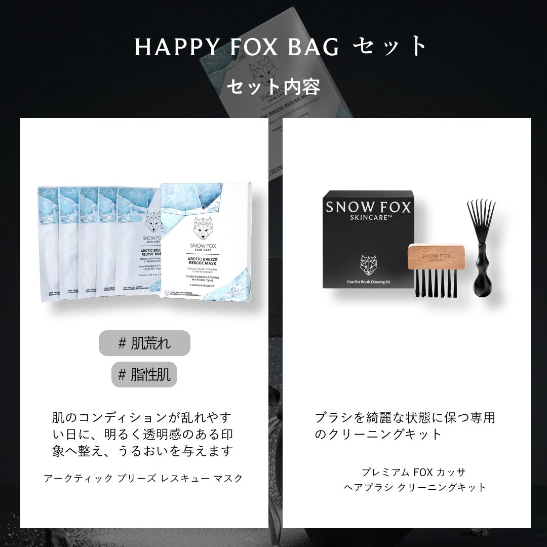 【1月7日発送予定】HAPPY FOX BAG Black Edition_SFHBBESET