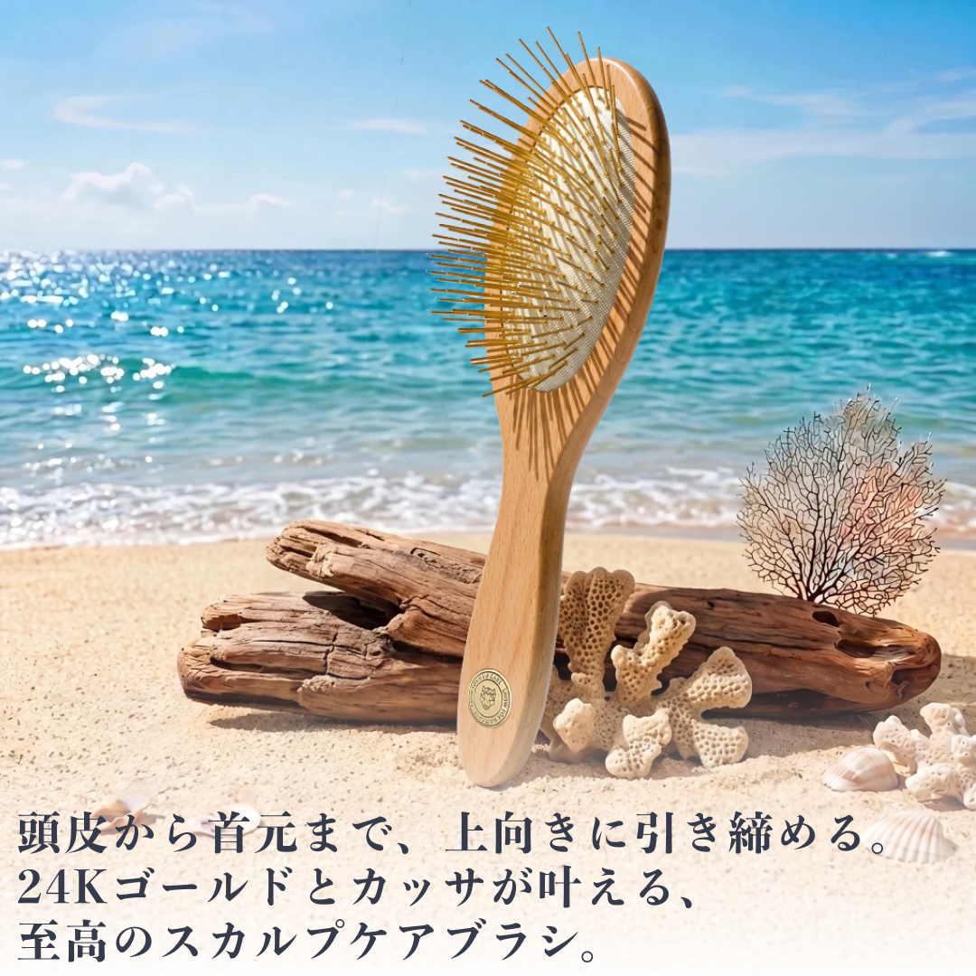ビーチウッド ヘアブラシ 発売記念セット