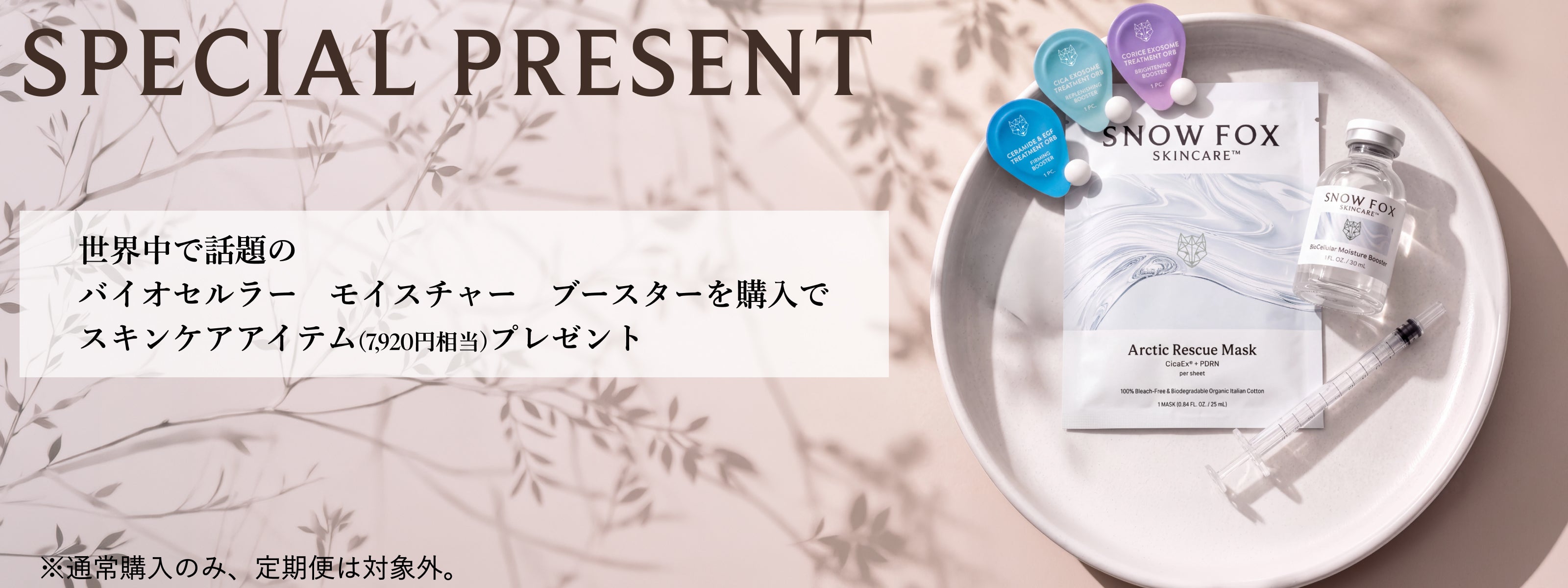 公式】敏感肌を卒業させる SNOW FOX SKINCARE