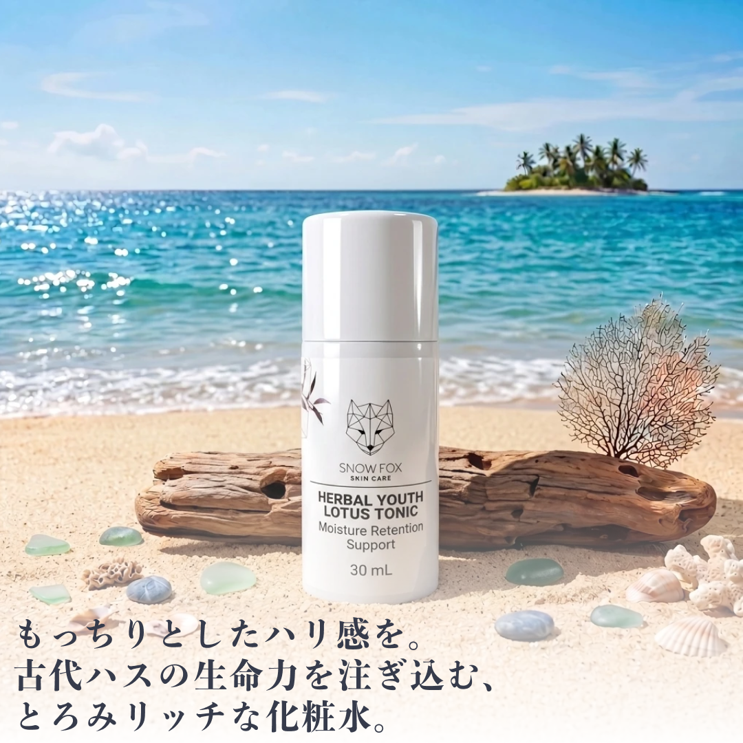 ビーチウッド ヘアブラシ 発売記念セット
