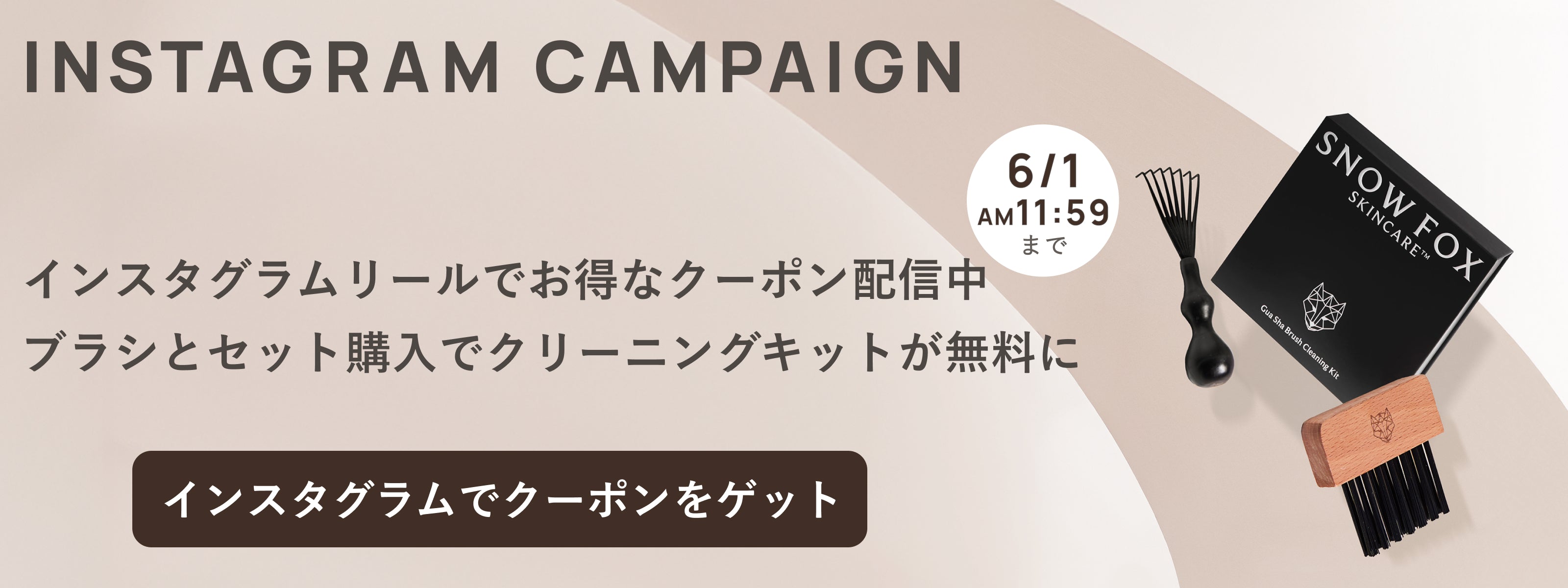 プレミアム FOX カッサ ヘアブラシ - 【公式サイト】SNOW FOX SKINCARE