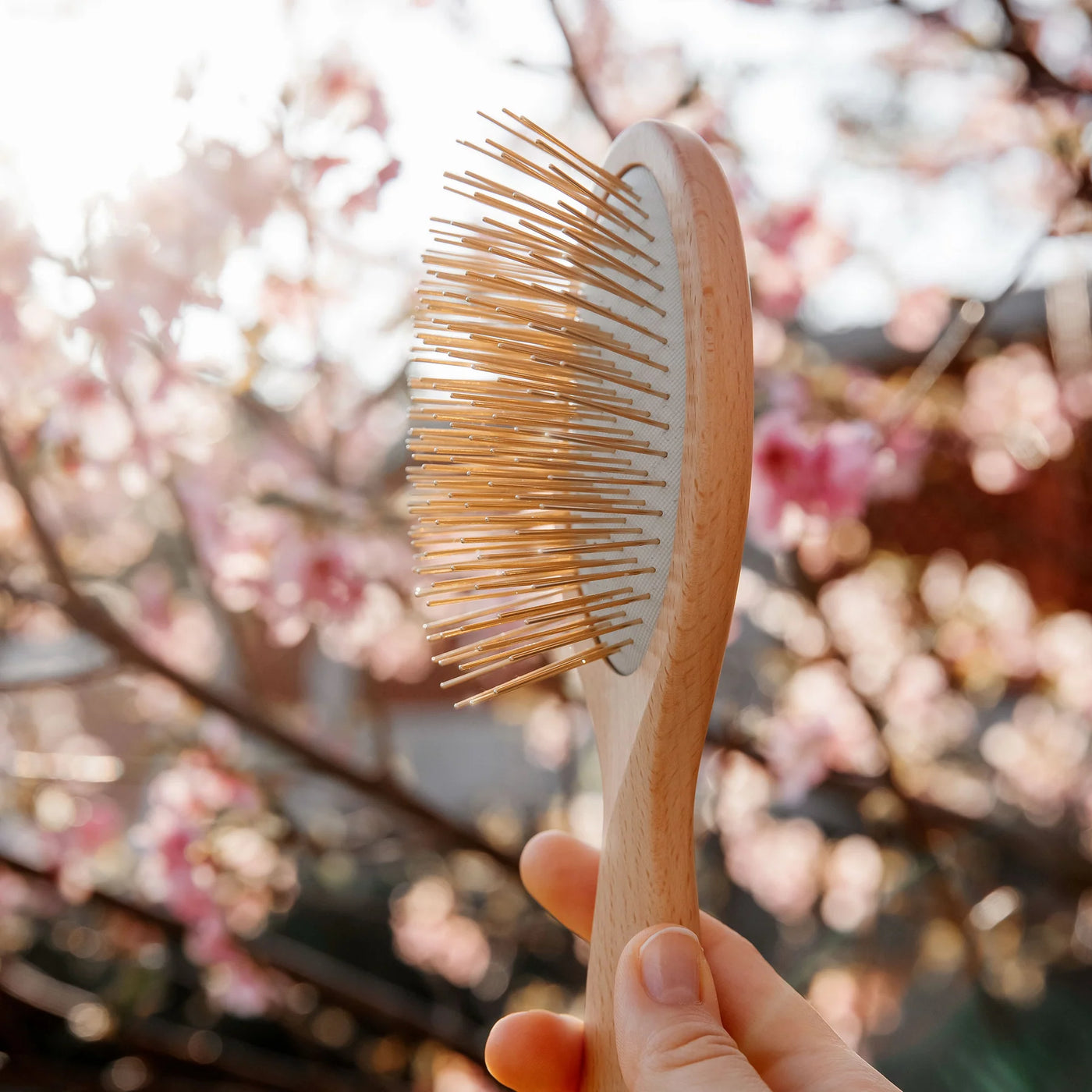 【予約販売】プレミアム FOXカッサ ウッド ヘアブラシ 1年保証付き